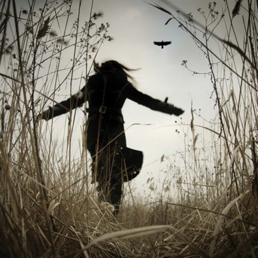 Lấy gà theo gà…