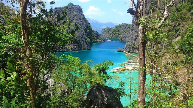 Mua xuan nam ay, toi phai long Coron