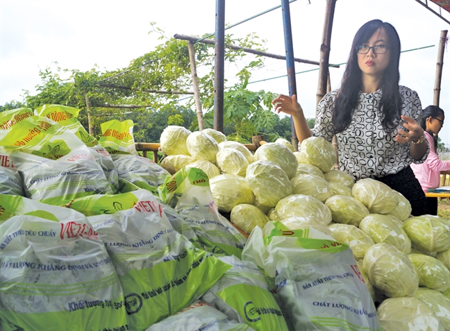 Van diep khuc thieu nong san sach, thua nong san mat ve sinh