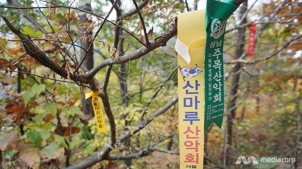 Gangwon: Ve dep hoang so cua Olympic mua dong 2018