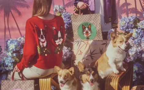 Bộ sưu tập họa tiết chó của Gucci khiến giới mộ điệu 'phát cuồng'