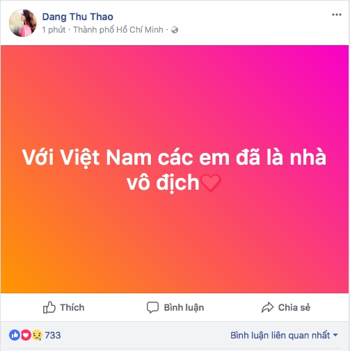 Nghe si Viet: 'U23 Viet Nam da thuc su la nhung anh hung'