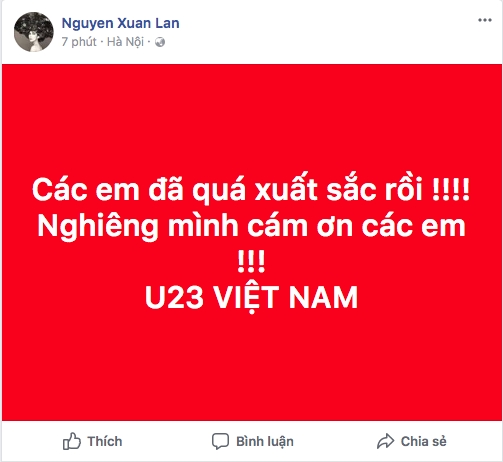 Nghe si Viet: 'U23 Viet Nam da thuc su la nhung anh hung'