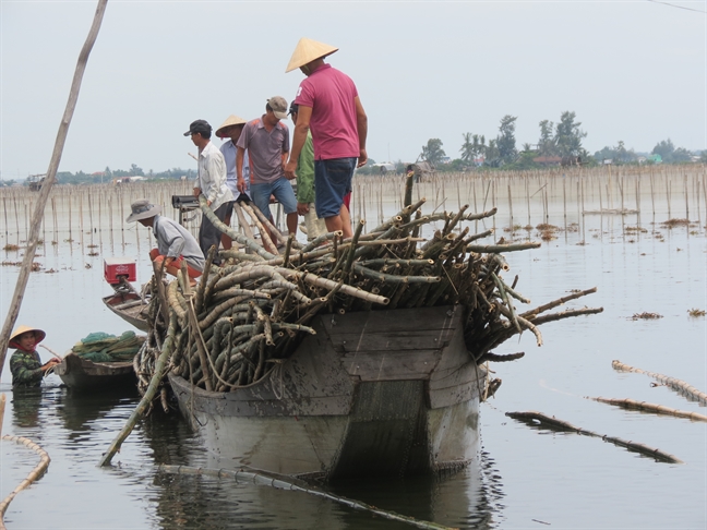 Doc dao nghe 'lam choi an thiet' o lang tai dinh cu sau 20 nam