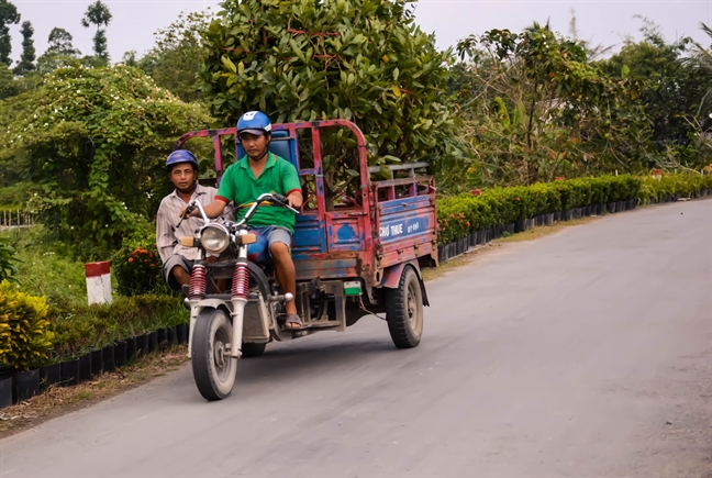 Lang hoa Sa Dec 'nin tho' cho Tet den