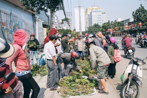 Lan rừng xuống phố hút người mua