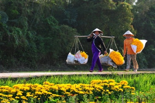 Bùi ngùi cái tết xa quê