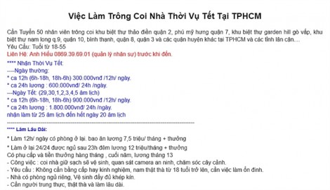 Nhộn nhịp dịch vụ trông nhà ngày Tết