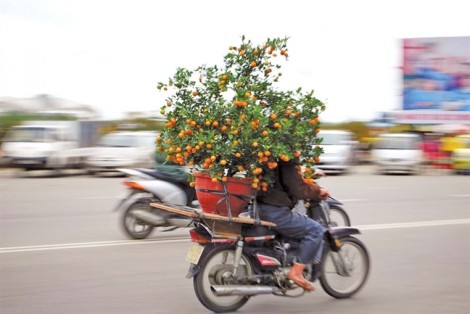 Chơi xuân, chớ để hoa buồn