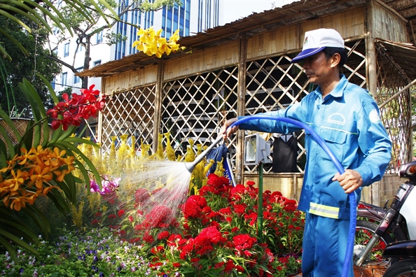 Nhung chu cho hoa nghe si don ca tai tu ngo nghinh tai duong hoa nghe thuat Can Tho