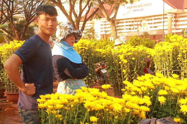 Buon Ma Thuot chieu 30 tet: Nhieu nha vuon 'ngam dang' vi ha gia hoa van khong ai mua