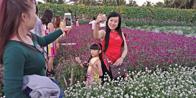 Du khach do ve Tien Giang ngam canh dong hoa ruc ro ngay dau nam