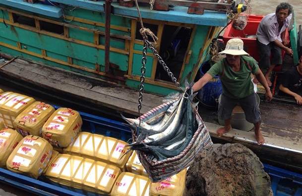 Ngu dan Ca Mau trung loc bien dau nam, kiem tram trieu sau 4 ngay ra khoi