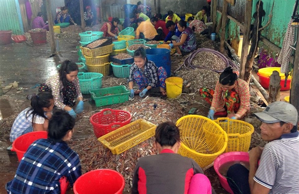 Ngu dan Ca Mau trung loc bien dau nam, kiem tram trieu sau 4 ngay ra khoi