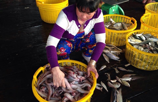 Ngu dan Ca Mau trung loc bien dau nam, kiem tram trieu sau 4 ngay ra khoi