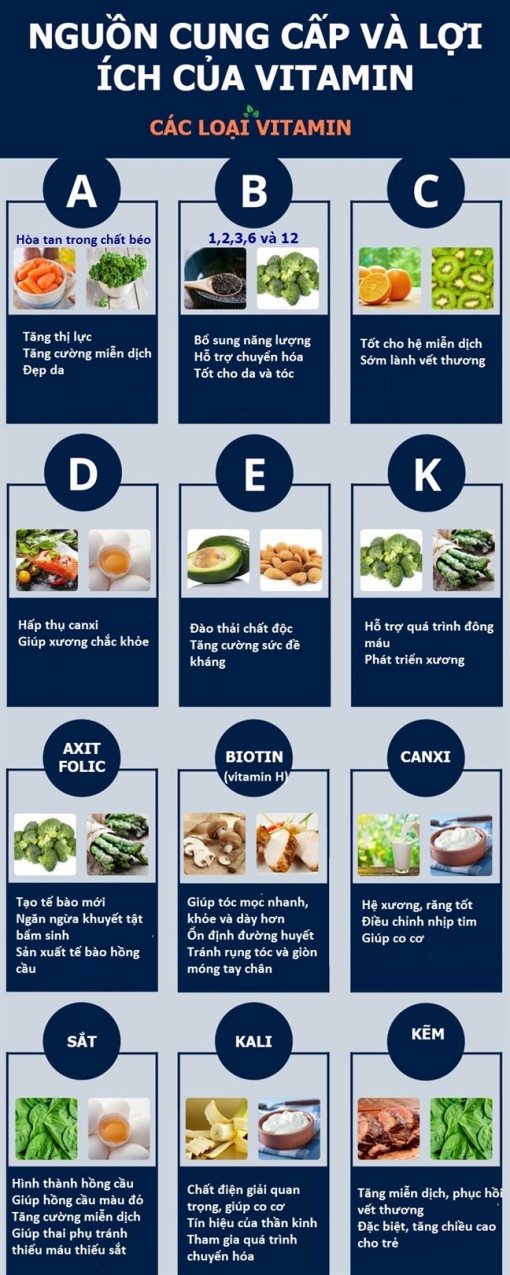 Các loại vitamin khi vào cơ thể sẽ như thế nào?