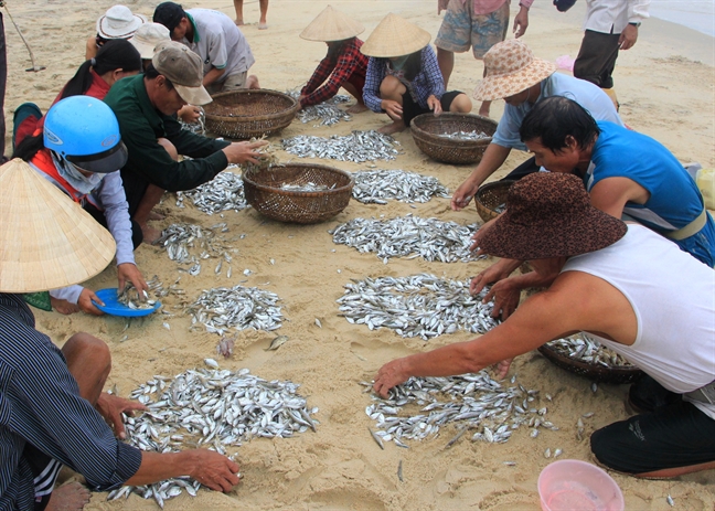 Doc dao lang danh bat ca bang nghe keo luoi rong truyen thong