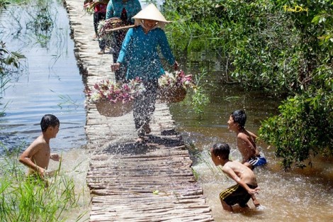 Ngày tiễn con, nước mắt màu gì?