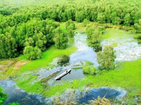 Tránh nóng Sài Gòn bằng chuyến khám phá rừng tràm Trà Sư