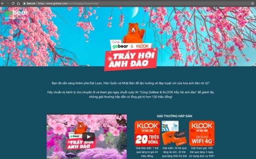 Cơ hội trải nghiệm mùa hoa anh đào