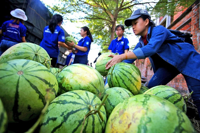 Doanh nghiep can dot pha bang giai phap chu khong chi cho co hoi