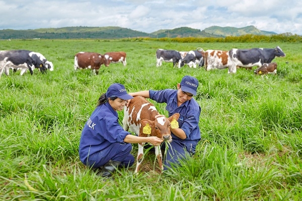 Vinamilk vuon len dan dau top 100 noi lam viec tot nhat Viet Nam nam 2017