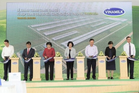 Tổ hợp trang trại bò sữa công nghệ cao Vinamilk tại Thanh Hóa