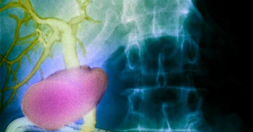 Phát hiện một cơ quan mới, chưa từng được biết đến trong cơ thể người