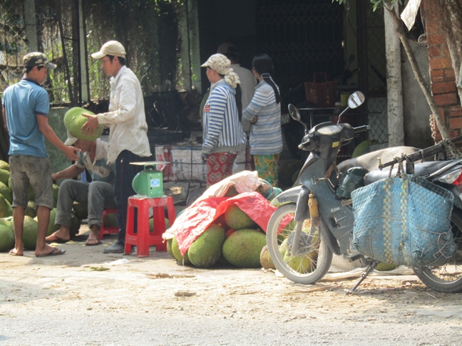 Thuong lai lung suc vuon mit Thai     