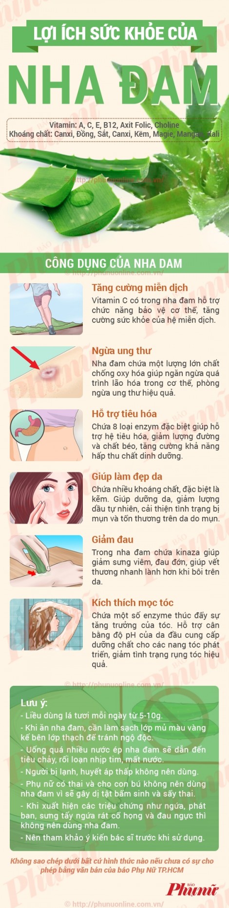 Công dụng của nha đam hay đến bất ngờ