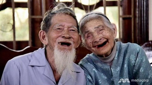 Báo nước ngoài ngưỡng mộ cặp vợ chồng già trồng rau sạch cho Hội An