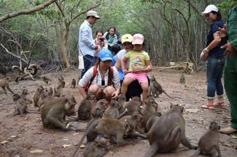 Tour nước ngoài dịp lễ 30/4 và 1/5 tăng đột biến