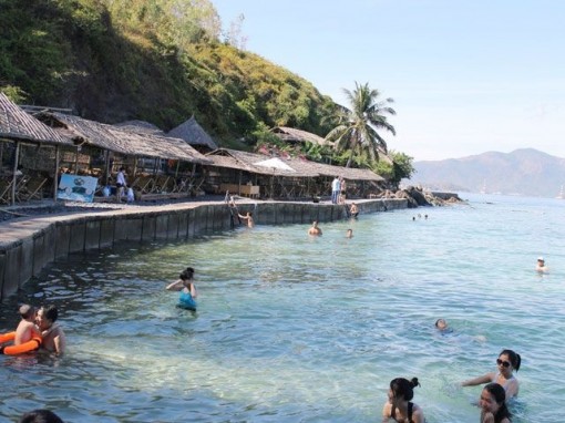 Hàng năm, cứ đến... mùa tua