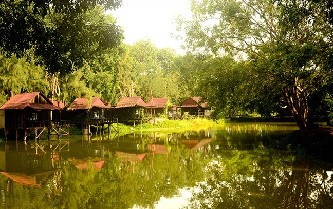 Ngay le lam tiec nuong, nghe nhac dong que tren trang co gan Sai Gon