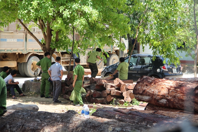 Vu vay bat trum go lau Phuong 'rau': Cuc Kiem lam noi gi?