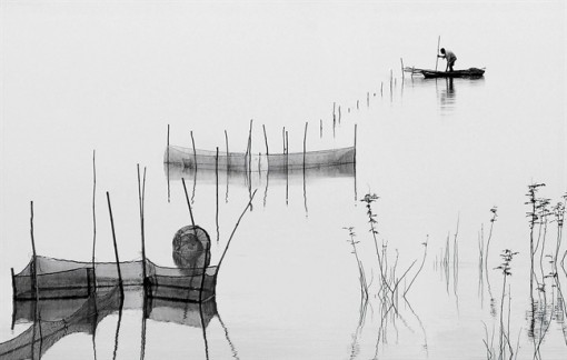 Sự thấu hiểu muộn màng