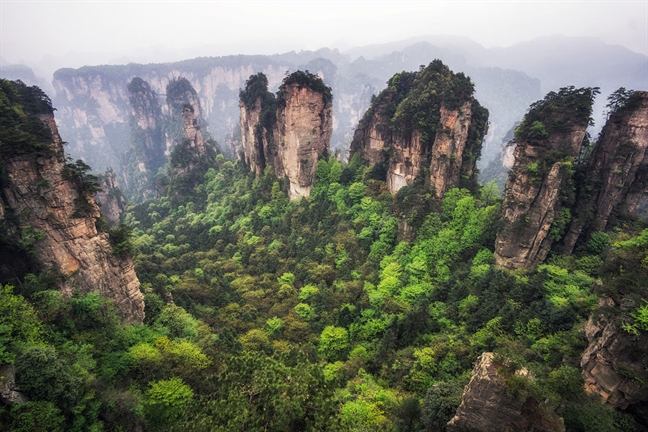 He nay, nhat dinh ghe tham chon bong lai tien canh Truong Gia Gioi