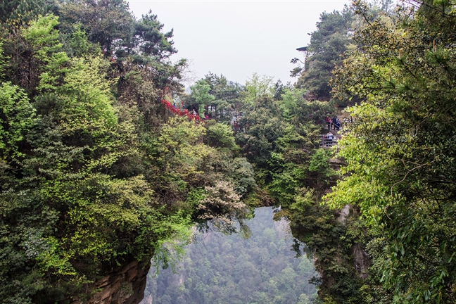 He nay, nhat dinh ghe tham chon bong lai tien canh Truong Gia Gioi