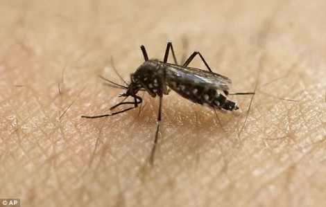 Phát hiện bệnh sốt xuất huyết có thể lây qua quan hệ tình dục