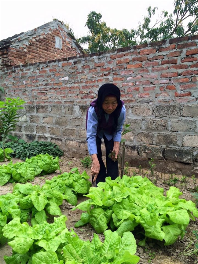 Am long nhung cau chuyen ve 'ba noi, ba ngoai toi'