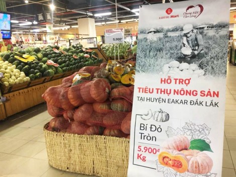 Bí đỏ ở Đắk Lắk rớt giá thê thảm, siêu thị ra tay giải cứu
