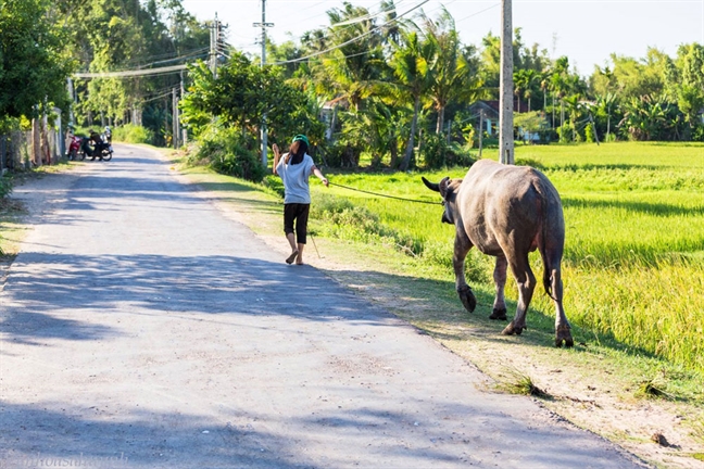 Mong manh suong som