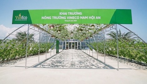 Khám phá nông nghiệp hàng đầu thế giới bên trong VinEco Nam Hội An