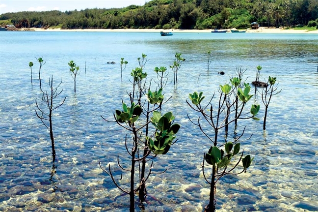 Dao Phu Quy: Bi mat thien duong nhiet doi o Binh Thuan