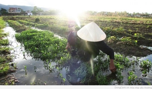 Nỗi đau của người con có mẹ mê bài bạc