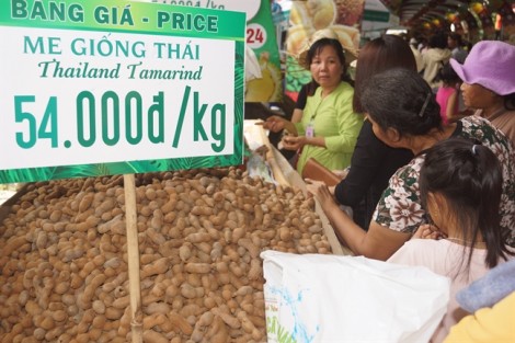 Đi 'chợ nổi' mua trái cây tươi giá rẻ hơn thị trường 30% tại TP.HCM