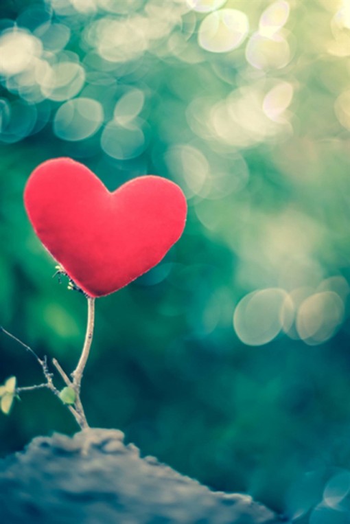 Kiến tạo tình yêu, có khó không?