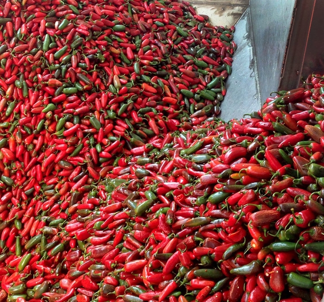 Tuong ot Sriracha – de che trieu do tai My cua nha sang lap goc Viet