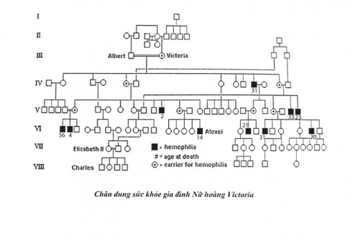 Ngày Gia đình Việt Nam tặng nhau gia sử sức khỏe