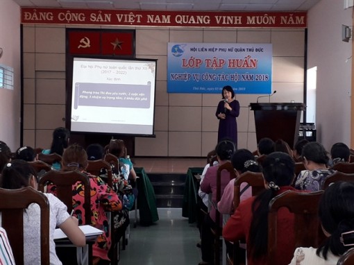 Tin trong Hội